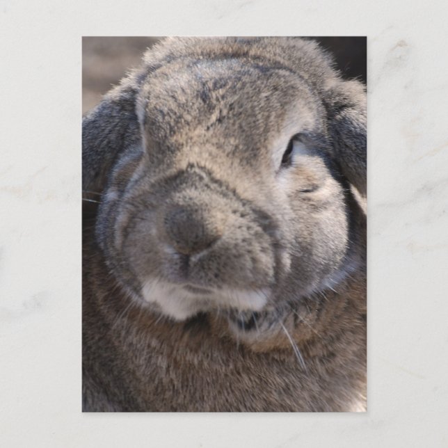 Anpassa produkt vykort (Framsida)