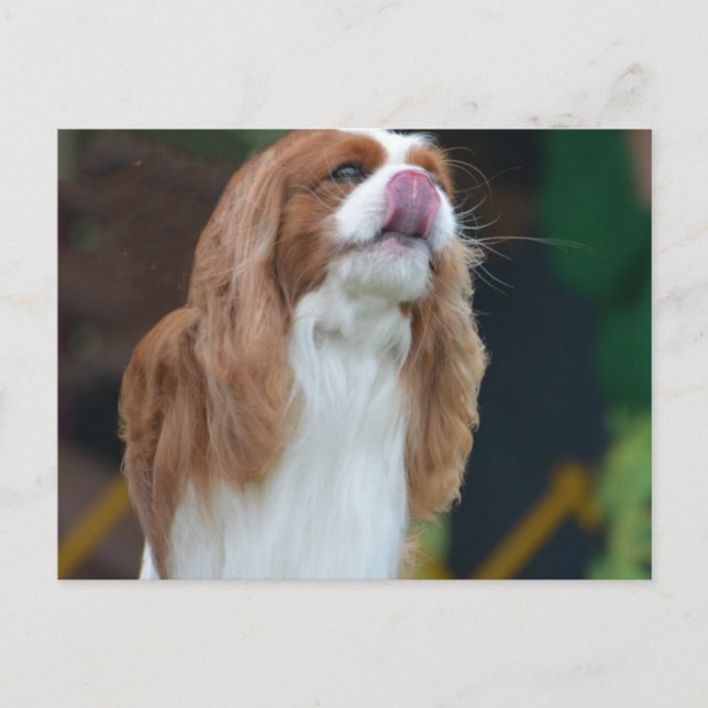 Anpassa produkt vykort (Framsida)