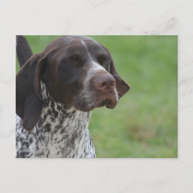 Anpassa produkt vykort (Framsida)