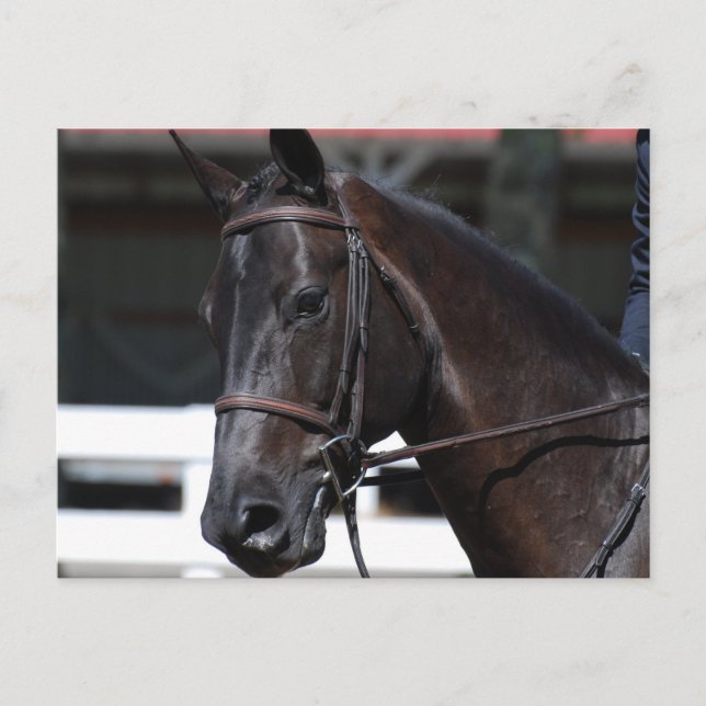 Anpassa produkt vykort (Framsida)