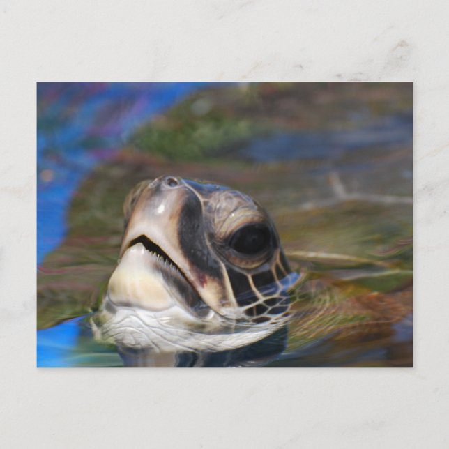 Anpassa produkt vykort (Framsida)