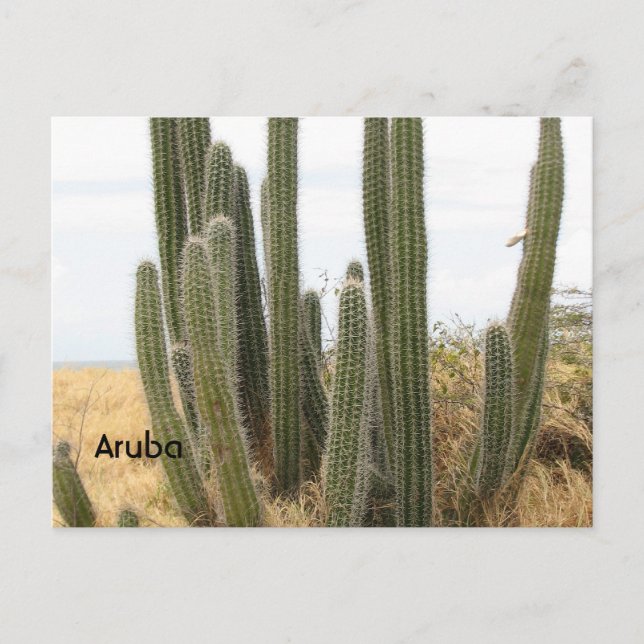 Anpassa produkt vykort (Framsida)