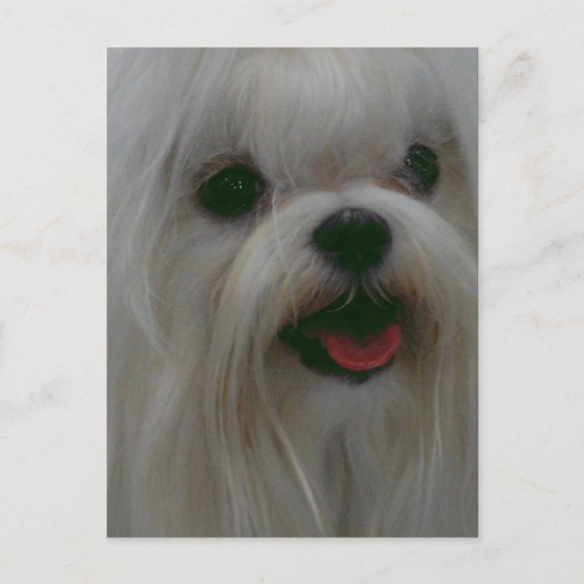 Anpassa produkt vykort (Framsida)