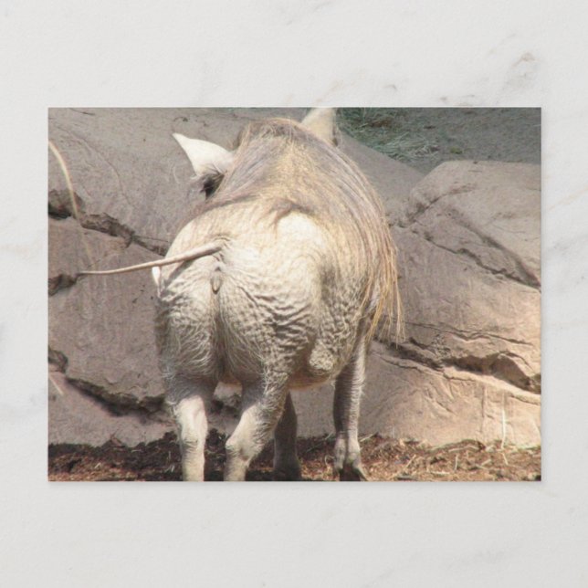 Anpassa produkt vykort (Framsida)