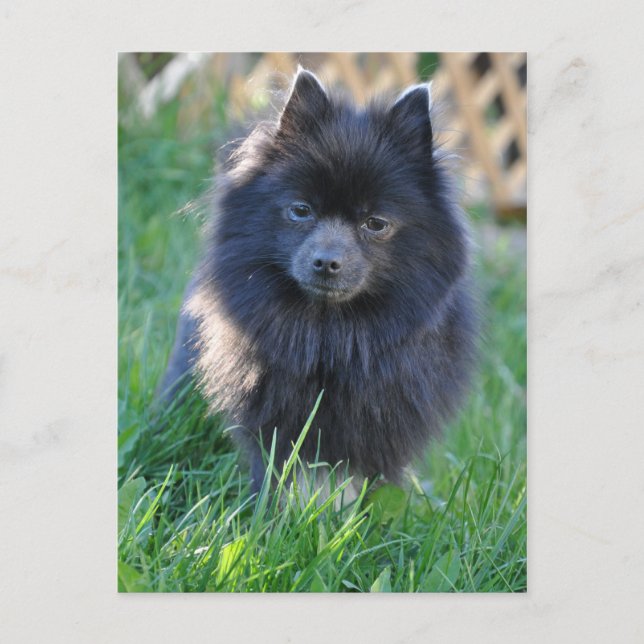 Anpassa produkt vykort (Framsida)