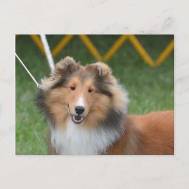 Anpassa produkt vykort (Framsida)