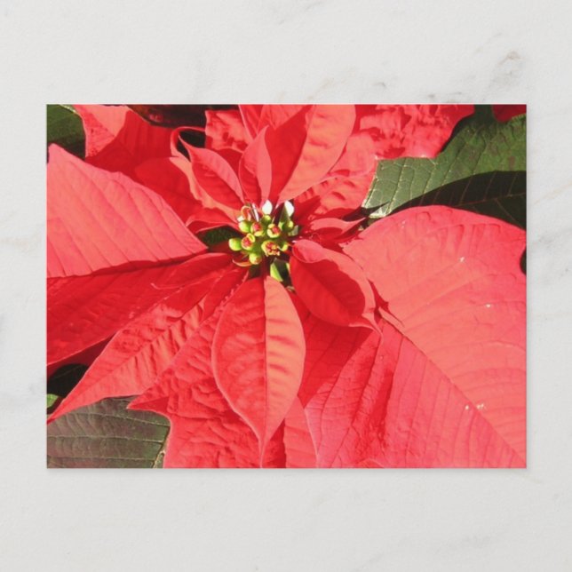 Anpassa produkt vykort (Framsida)