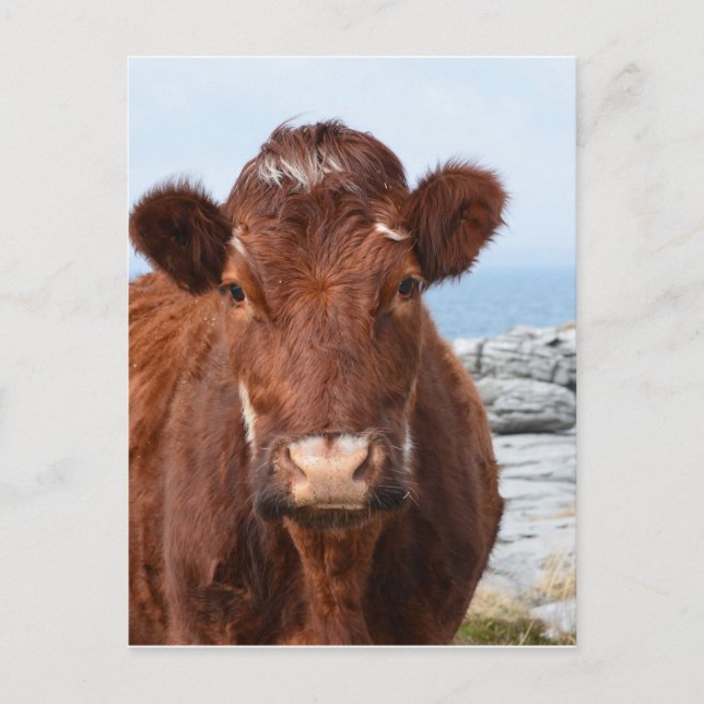 Anpassa produkt vykort (Framsida)