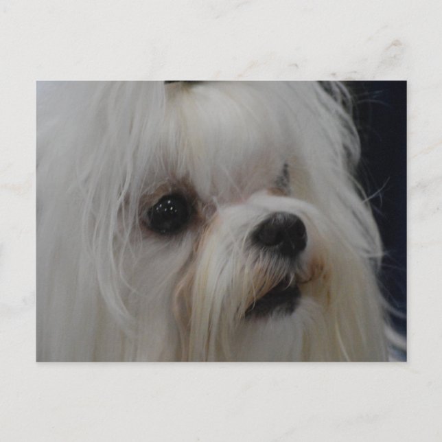 Anpassa produkt vykort (Framsida)