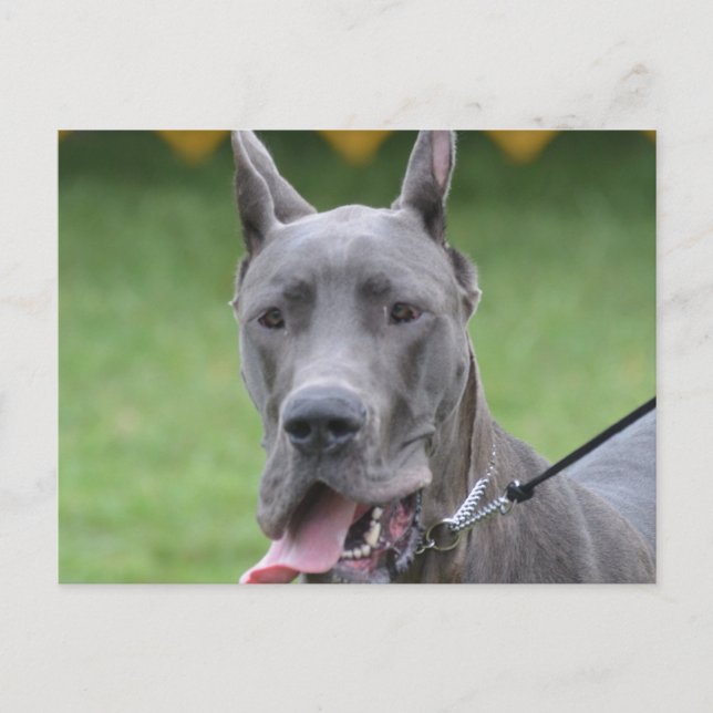 Anpassa Produkt Vykort (Framsida)