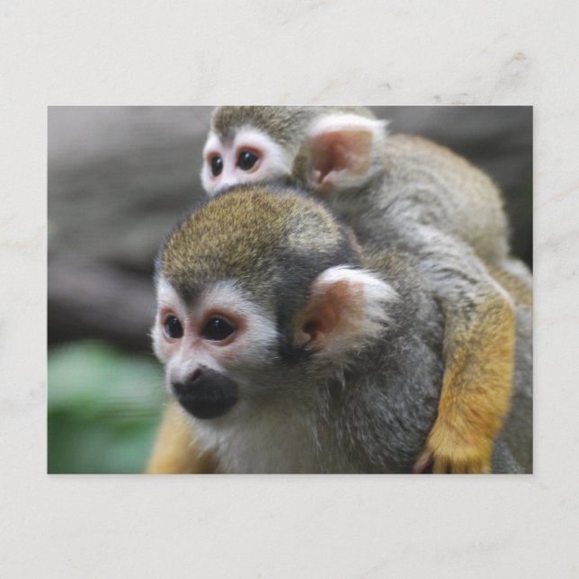 Anpassa produkt vykort (Framsida)