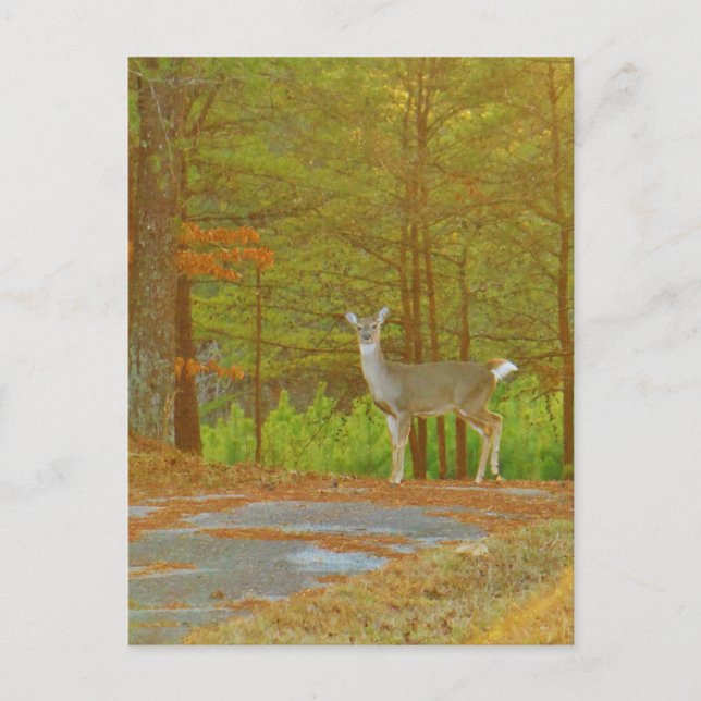 Anpassa produkt vykort (Framsida)