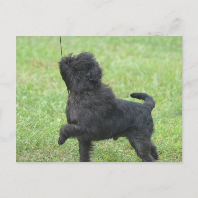 Anpassa produkt vykort (Framsida)