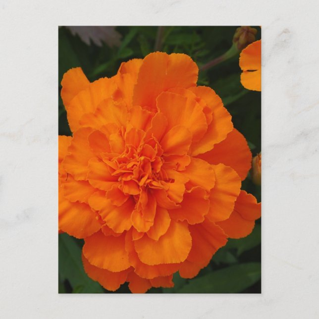 Anpassa produkt vykort (Framsida)