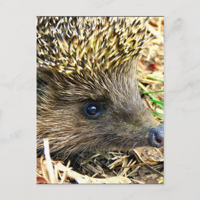 Anpassa produkt vykort (Framsida)