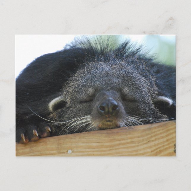 Anpassa produkt vykort (Framsida)