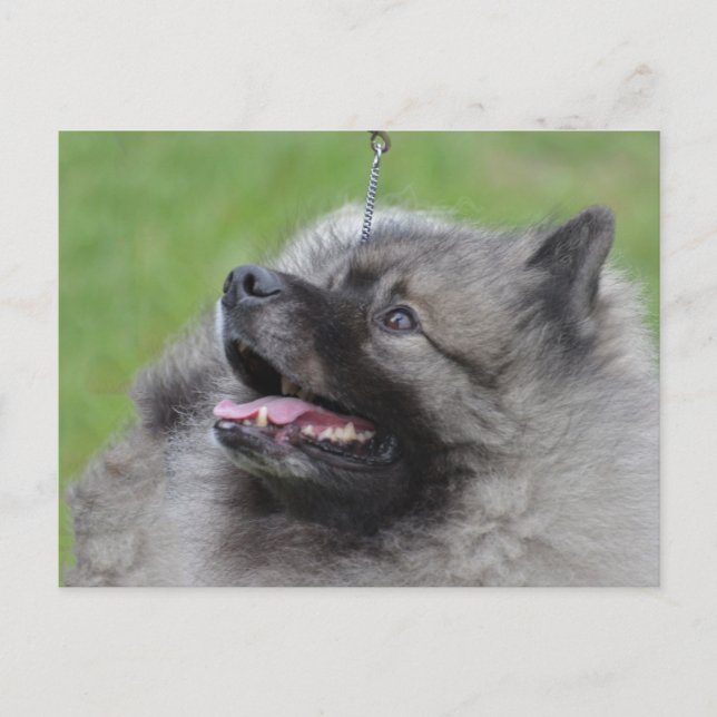 Anpassa produkt vykort (Framsida)