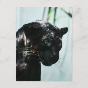 Anpassa produkt vykort