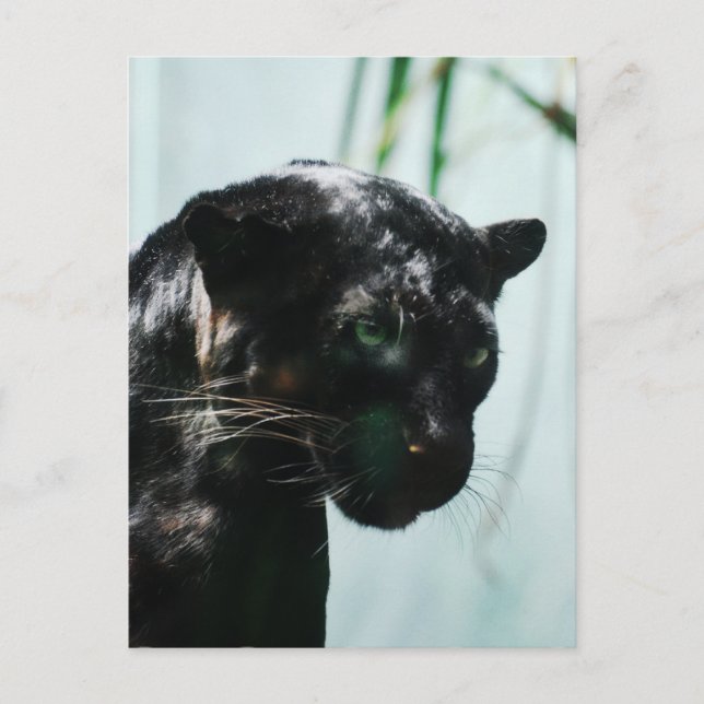 Anpassa produkt vykort (Framsida)