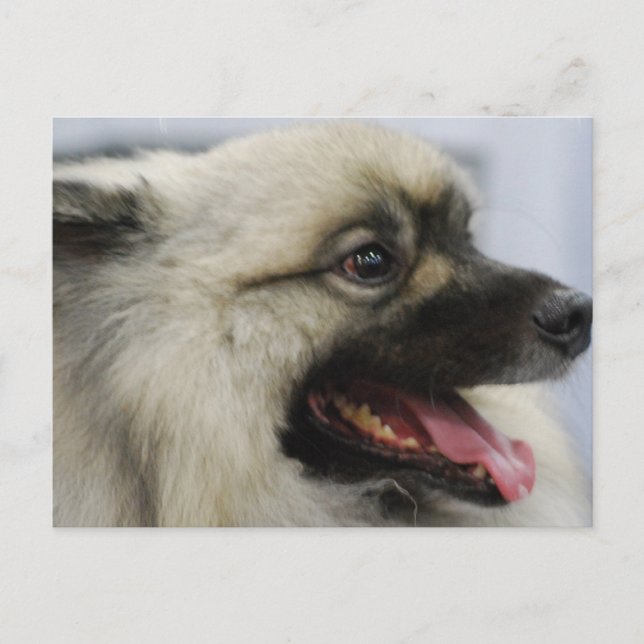 Anpassa produkt vykort (Framsida)