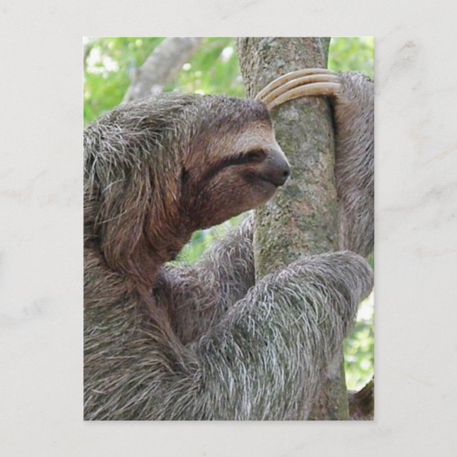 Anpassa produkt vykort (Framsida)