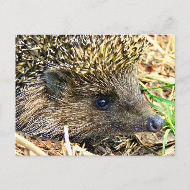 Anpassa produkt vykort (Framsida)