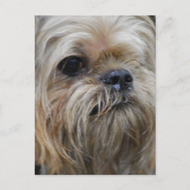 Anpassa produkt vykort (Framsida)