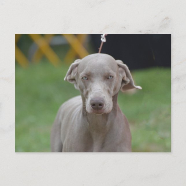 Anpassa produkt vykort (Framsida)