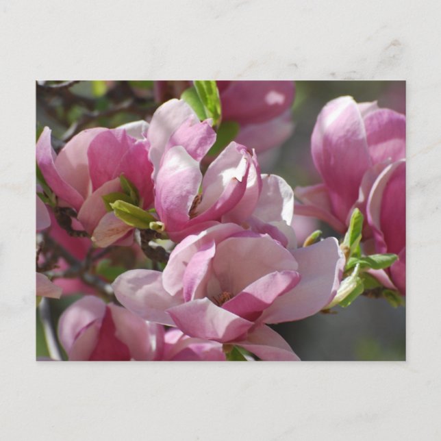 Anpassa produkt vykort (Framsida)