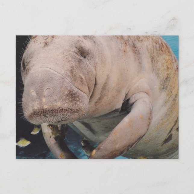 Anpassa produkt vykort (Framsida)