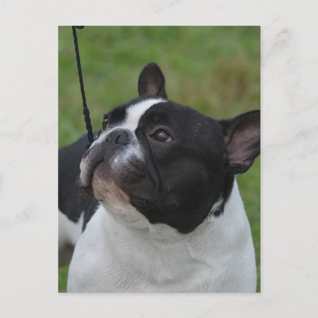 Anpassa produkt vykort (Framsida)