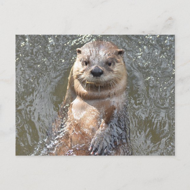 Anpassa produkt vykort (Framsida)