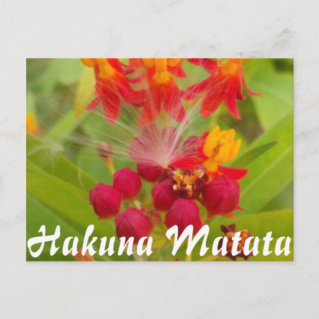 Anpassa produkt vykort (Framsida)