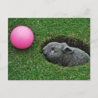 Anpassa produkt vykort