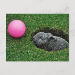 Anpassa produkt vykort