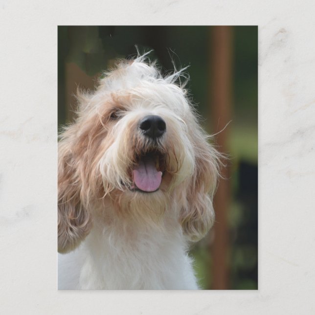 Anpassa produkt vykort (Framsida)