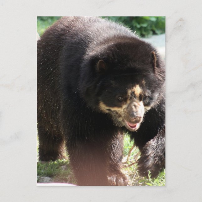 Anpassa produkt vykort (Framsida)