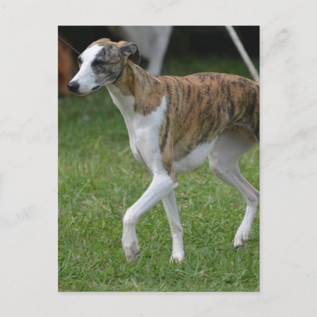 Anpassa produkt vykort (Framsida)