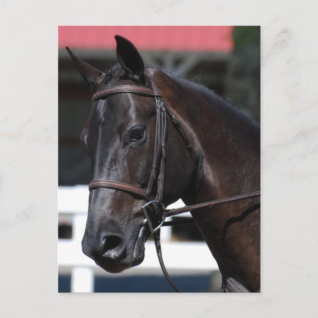 Anpassa produkt vykort (Framsida)