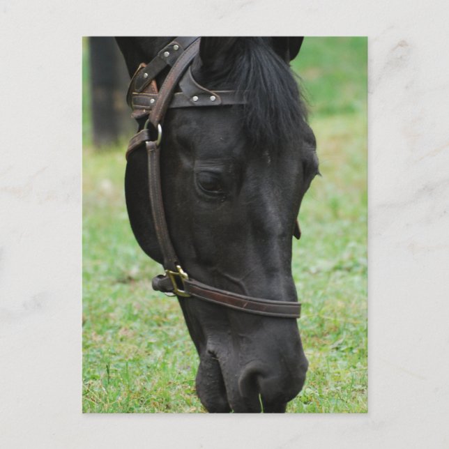 Anpassa produkt vykort (Framsida)