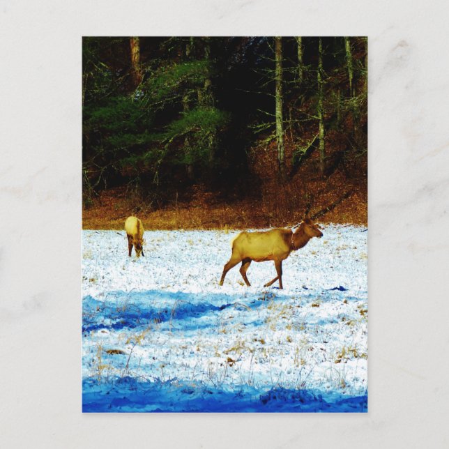 Anpassa produkt vykort (Framsida)