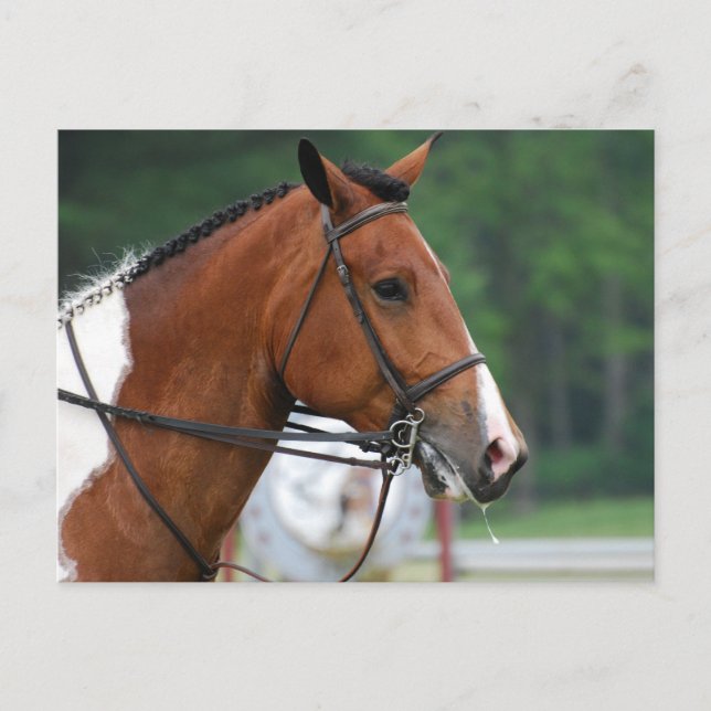 Anpassa produkt vykort (Framsida)