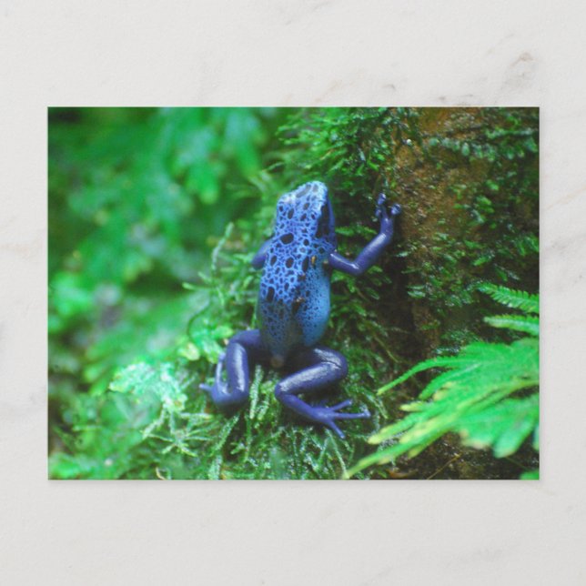 Anpassa produkt vykort (Framsida)