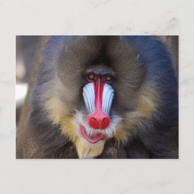 Anpassa produkt vykort (Framsida)