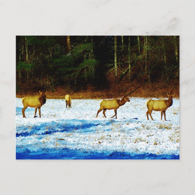 Anpassa produkt vykort (Framsida)