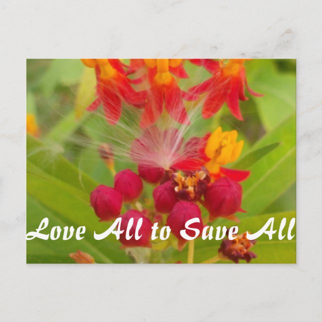 Anpassa produkt vykort (Framsida)