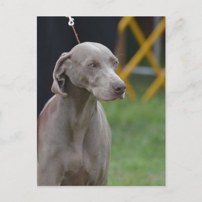 Anpassa produkt vykort (Framsida)