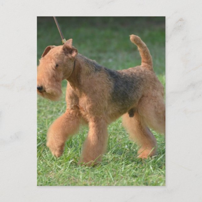 Anpassa produkt vykort (Framsida)