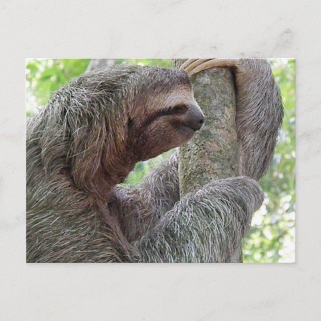 Anpassa Produkt Vykort (Framsida)