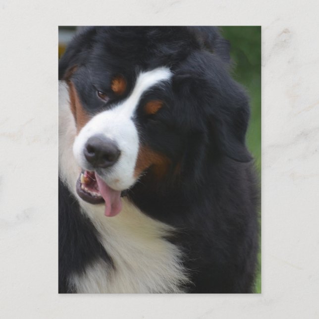 Anpassa produkt vykort (Framsida)